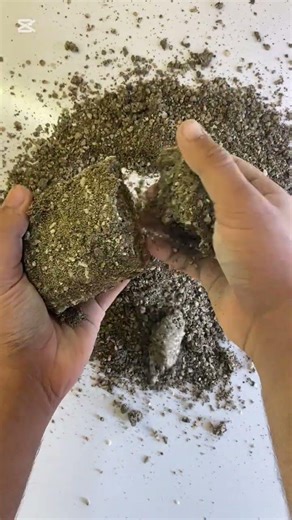Damp white stoney sand #stressrelief #oddlysatisfying #foryou #1000subscriber