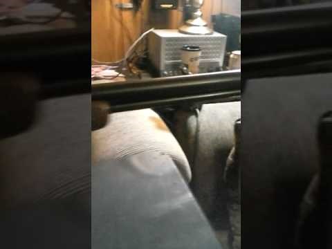 Revelation model 120 marlin firearms