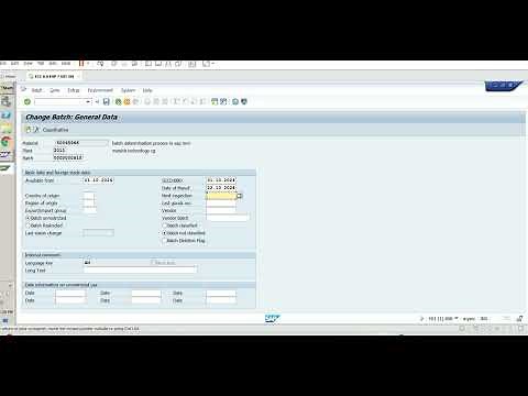 How to change batch management in SAP