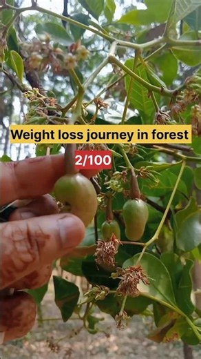 (2/100 )day with adventure #adventure#mini vlogs #instant#cooking#weightloss