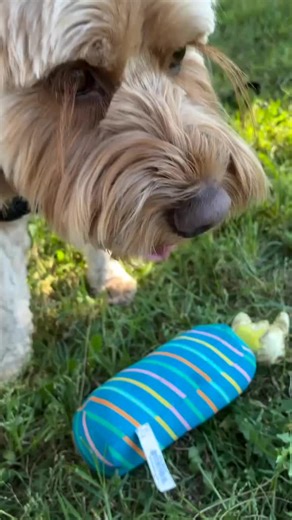 Jane wilde officially (@janewilde077)’s videos with original sound - Jane wilde officially