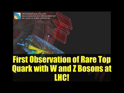 First Observation of Rare Top Quark with W and Z Bosons at LHC!