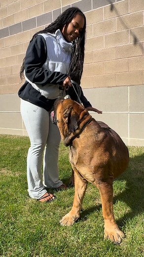 17K views · 380 reactions | This is the very first time a woman works...