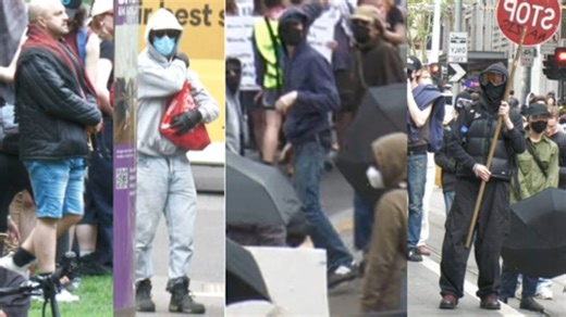 Search for protesters who allegedly assaulted police officers