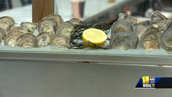 Restaurants recycle oyster shells in effort to restore native population