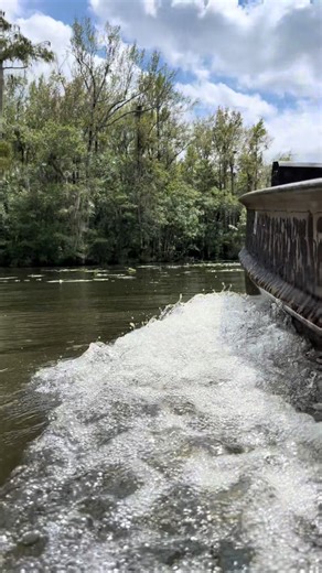 #fyp #moment #southlouisiana #gatortailoutboards