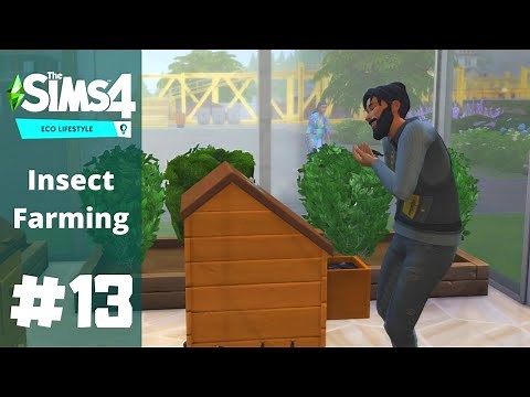 The Sims 4: Eco Lifestyle | EP 13 | Insect Farm/Bug Farm?!
