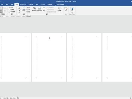 Word文档多页面显示设置#玩转office