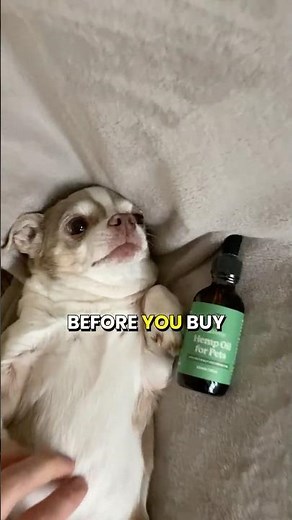 3 Things You MUST Check Before Buying Hemp Oil for Dogs