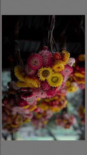 Raw to Edit in DARKTABLE