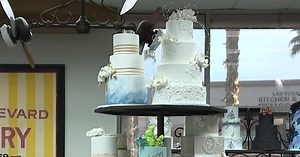 Freeds Bakery offering virtual cake decorating class today