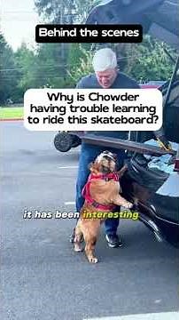 Chowder learning to ride an all-terrain electric board