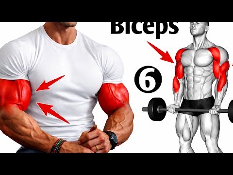 6 Magic Exercises to Build Big Biceps | Best Biceps Workout at the Gym #BicepsWorkout #BigBiceps