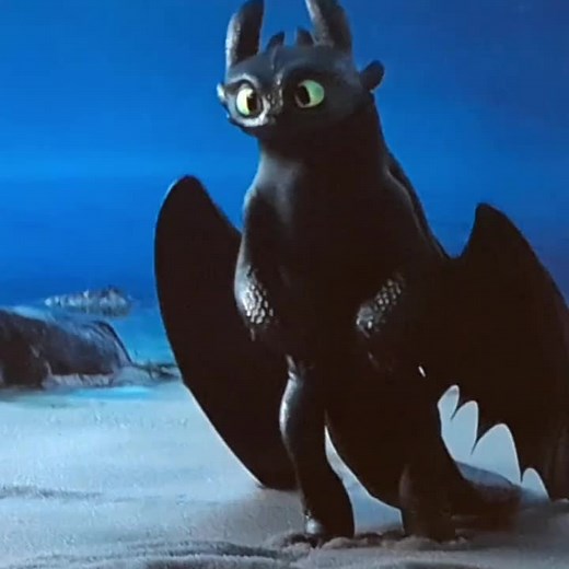 Black and White Dragons Encounter at the Beach