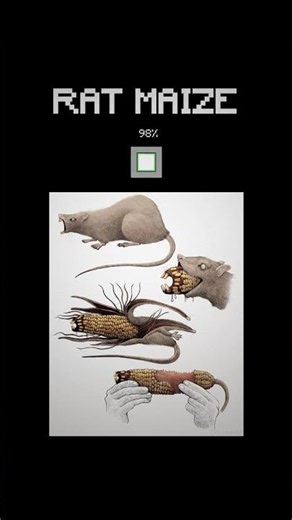 Rat Maize (Tim Andraka) | Minecraft Animation #analoghorror #horror