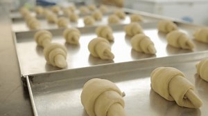 croissants dough preparing for baking