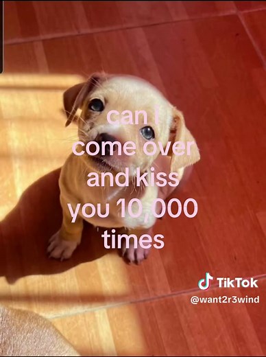 Mastering the Art of the Kiss