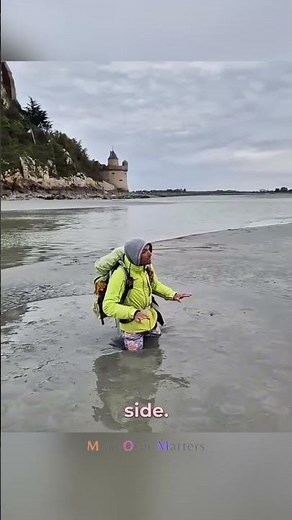 How to Survive Quicksand #shorts