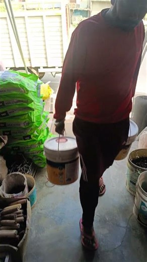 #trending #hardwareshop #paintshop #vlog