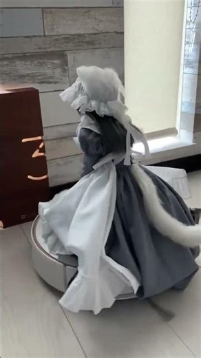 Maid figurine sitting on a robot vacuum cleaner spinning around坐在扫地机器人上面转圈的女仆手办