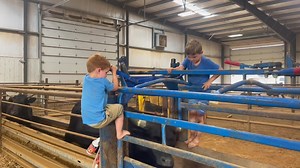 618K views · 10K reactions | Let your children do hard things. Let them fail. Teach them there will be struggles but to never, ever give up! And then watch them beam with pride when they realize they CAN accomplish what they set their mind to…. They CAN overcome obstacles that seemed impossible. These are tough lessons but extremely important when raising our little people to be capable, hard working and responsible adults ♥️ | Rockin' B Ranch | Facebook