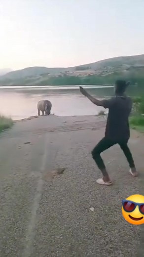 5.7K views · 24 reactions | What is the speed of the hippo? Is this courage or foolishness? #hippo #courage #running #fool #crazy | JM Wagatua | Facebook
