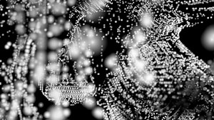 Particles, Abstract, Background. Free Stock Video