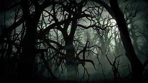 dark forest at night scary animation