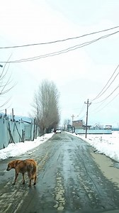 Winter Wonderland | Ｇｕｒｅｚ Ｖａｌｌｅｙ