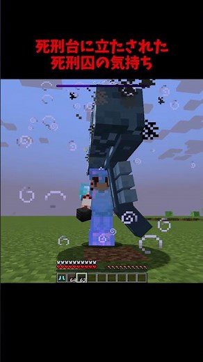 ダメージ軽減Lv255のダイヤ装備でウィザーの爆発は防げる？【検証】【マイクラ】 【ゆっくり実況】#Shorts