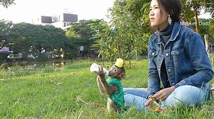 7.2K views · 478 reactions | Baby Monkey Dodo Go Out To Visit River Banks | Monkey Dodo | Facebook