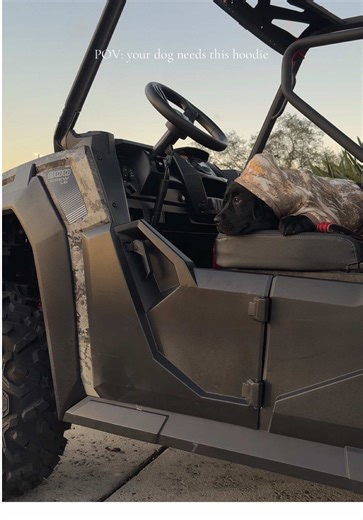 Every lab needs this hoodie #puppy #dogsoftiktok #dog #labrador #hunting