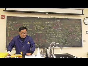 AEM 341 Lab 13 Enzymatic testing of bacteria-2