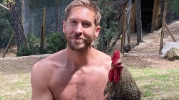 Calvin Harris 'gutted' after pet rooster killed