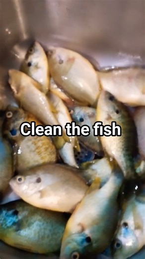 #catchandcook #fishing #panfish #cooking #fish #drink #cocktail