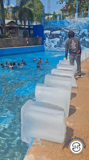 99K views · 392 reactions | Experience Ice Wave Pool only here at Hidden Sanctuary Hotel & Resort (Official) HIDDEN SANCTUARY HOTEL & RESORT Marilao,Bulacan For inquiries/reservations, 0998-8414747 0917-1884747 | Hidden Sanctuary Hotel & Resort (Official) | Facebook