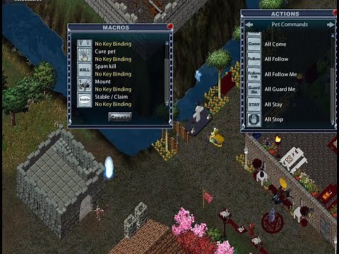 Taming Macros Part 2 pet commands