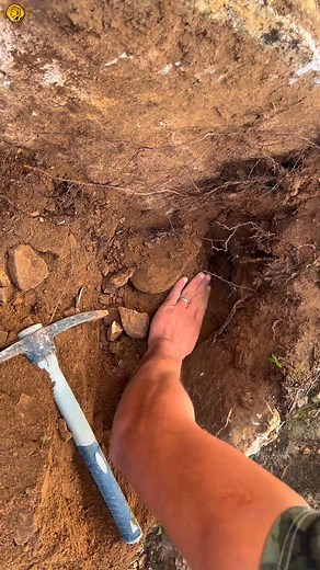 297K views · 2.4K reactions | ‏‎Metal detecting // amazing find‎‏ الجزء ‏1‏ | Last discovery | Facebook