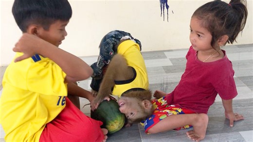 Hilarious Jason Daze & Doubt To Join Brother Smash Watermelon With Satya | Monkey Jason