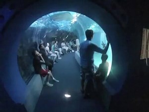 2.5M views · 55K shares | Maui Ocean Center | Beautiful Photos | Facebook