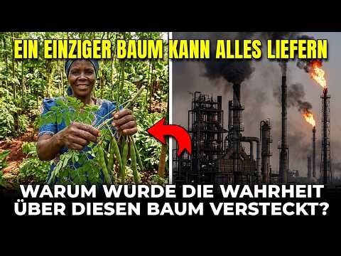 Ein Baum liefert Treibstoff, Nahrung & Medizin – Warum du das nie erfahren solltest