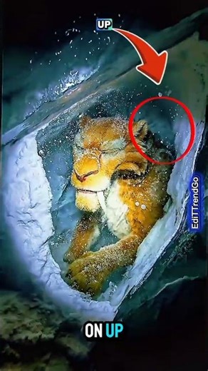 Abandoned frozen ice age found 🧊📸💥