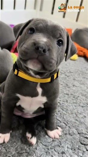 Demasiado Tierno 🥹