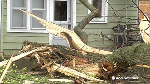 A Missouri tree exploded when lightning hit it yesterday – sending shards of wood through the windows of the house. Stay away from windows during storms and stay #AccuWeatherReady for Spring. http://www.accuweather.com/ready | AccuWeather