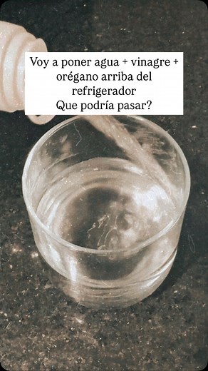 Ritual del agua con vinagre y orégano✨🌿💫 TE EXPLICO MÁS DE ESTE RITUAL👇🏻 El ritual del agua con vinagre y orégano es una poderosa limpieza energética para eliminar bloqueos y abrir caminos. Deja el frasco arriba de la heladera durante tres días. Este lugar es clave porque concentra energía y simboliza el alimento y sustento. Pasados los tres días, tira el contenido fuera de casa (puede ser en una alcantarilla o directamente en la tierra). #brujaverde #hechizosmagicos #brujeria #magia #brujas