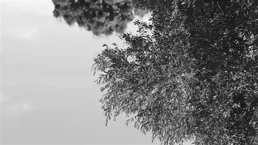 Playboy Plus HD - Zuri Aspiunza