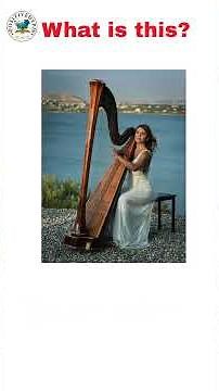 Most Common Musical Instruments and Their Uses 🎶