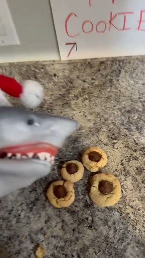 11K views · 178 reactions | FREE COOKIES? #12daysofchristmas | The Shark Puppet | Facebook