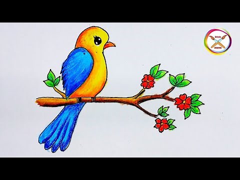 How To Draw Beautiful Bird || Bird Drawing In Easy Way || Draw for Beginners