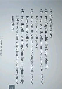 Dinoflagellates have;(1) two flagella, which lie longitudinall... | Filo